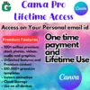 Canva Pro Lifetime Access