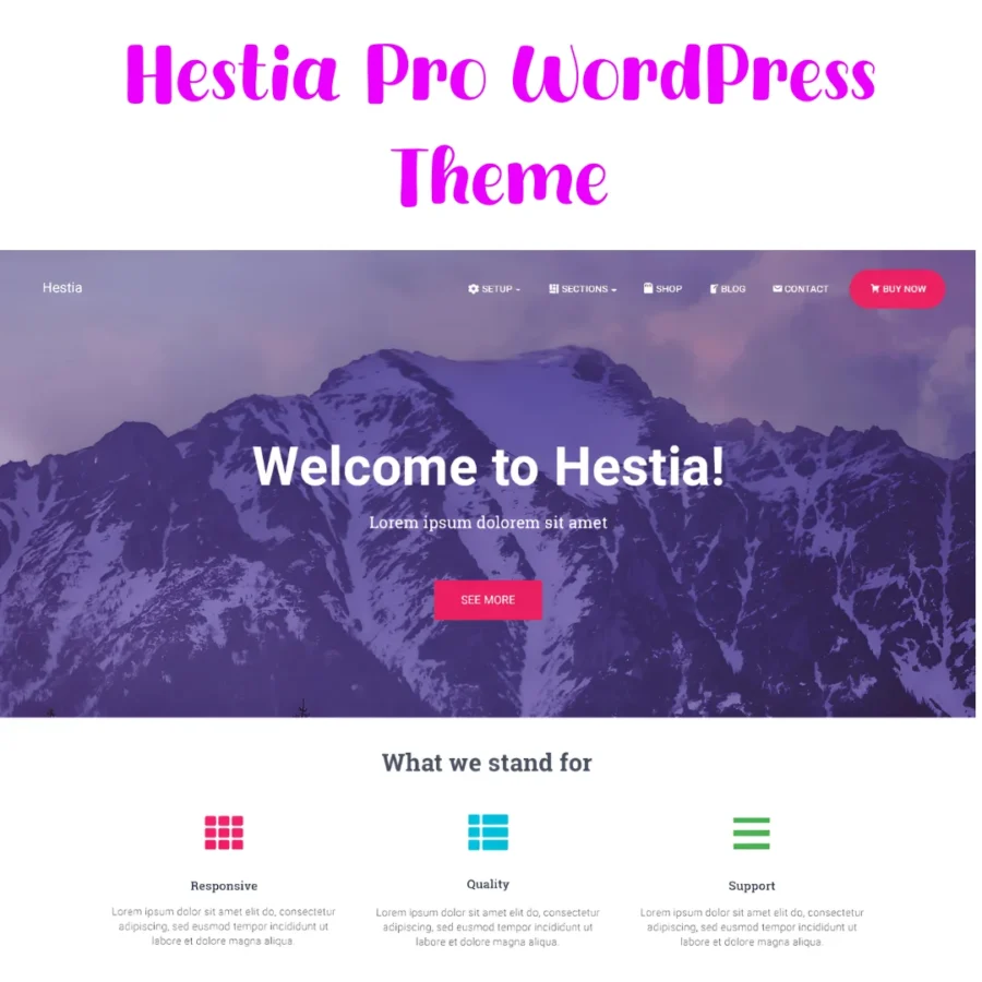 Hestia Pro WordPress Theme